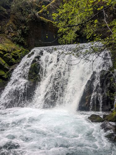 Rock Creek (Olympic Peninsula)-20240429000341 pic.jpg