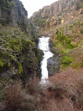 Skookum Canyon Banner.jpg