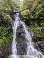 Clark Creek-20210720045001 pic.jpg