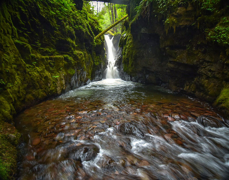 File:Cussed Hollow-20200516054655 pic.jpg