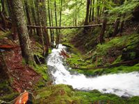 Elkhorn Mountain Creek-20200815025955 pic.jpg