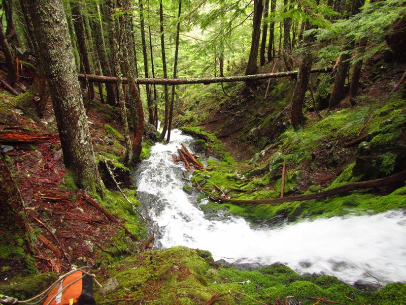 File:Elkhorn Mountain Creek-20200815025955 pic.jpg