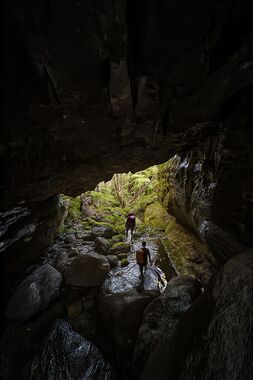 Horseshoe Banner.jpg