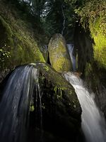 Mudcut Branch Canyon-20240514034701 pic.jpg