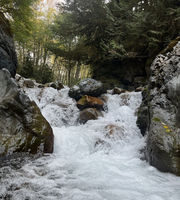 Thunder Creek (North Cascades)-20221010063947 pic.jpg