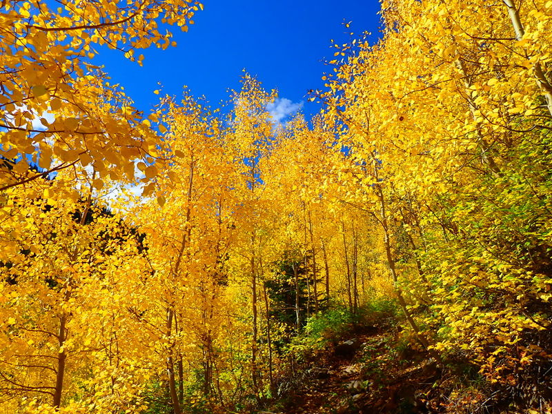 File:Bilk Creek Bilk001.jpg