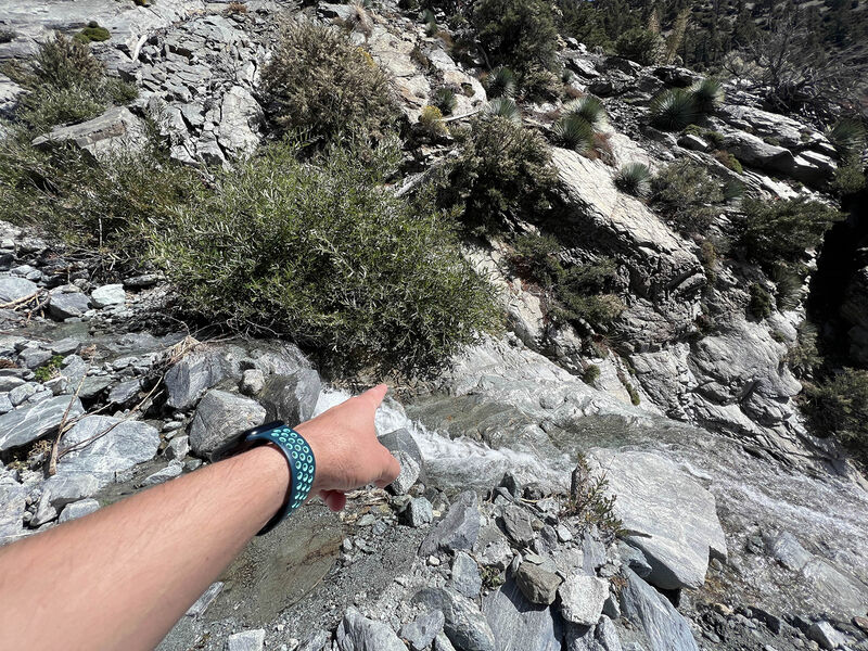 File:FILE-202309231246319.jpg