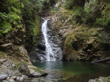 Foulgers Creek Banner.jpg