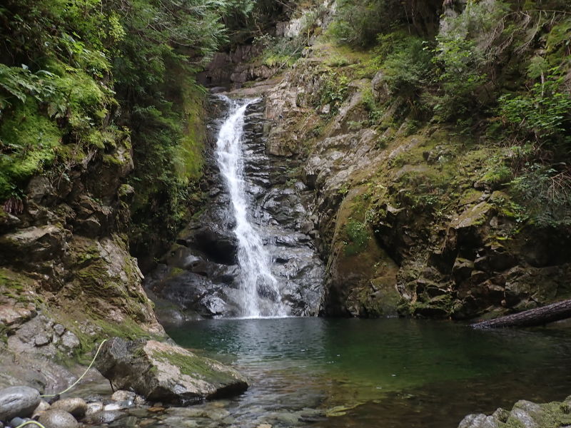 File:Foulgers Creek Banner.jpg