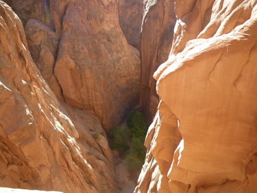 Lost and Found Canyon Banner.jpg