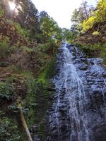 Panther Creek (Oregon)-20200816184545 pic.jpg