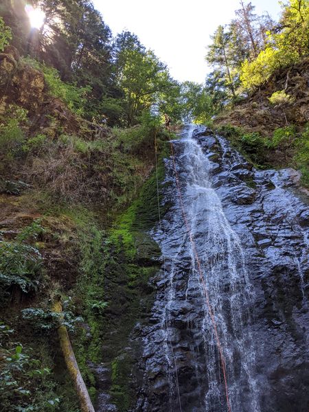 File:Panther Creek (Oregon)-20200816184545 pic.jpg