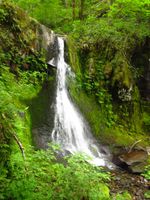 Rock Creek (Upper North Fork, South Cascades)-20170605012925 pic.jpg