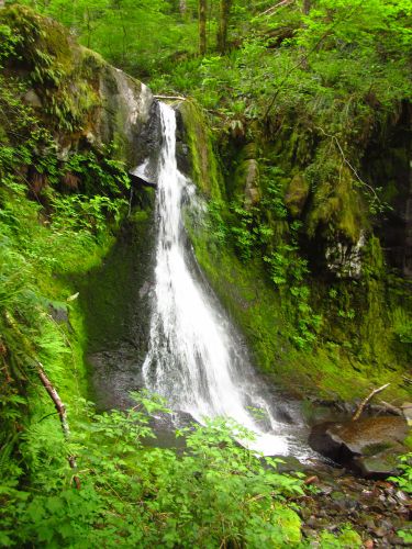 Rock Creek (Upper North Fork, South Cascades)-20170605012925 pic.jpg