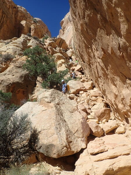 File:Tiger Wall Canyon pic002.jpg