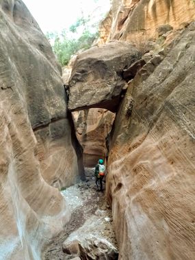 Big Canyon (New Mexico) Banner.jpg
