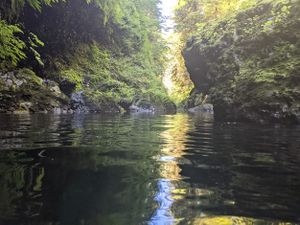 Fools Canyon (Olympic Peninsula) long corridor.jpg