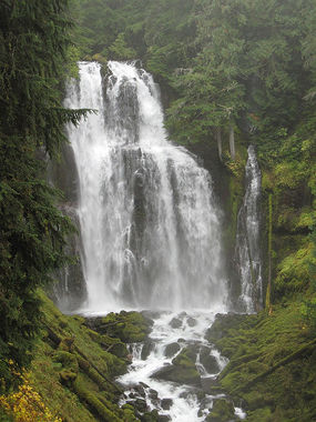 Linton Creek Banner.jpg