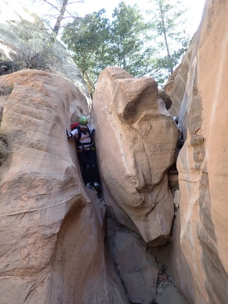 File:Cougar Canyon (New Mexico) pic11.jpg