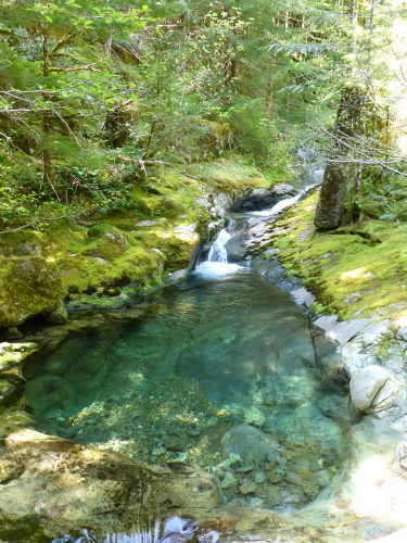 Stack Creek (East)-20150511213514 pic.jpg