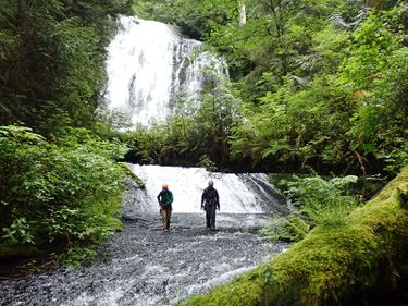 Gnat Creek Banner.jpg