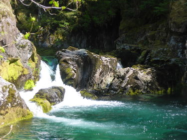 Little North Santiam (Opal Creek) Banner.jpg
