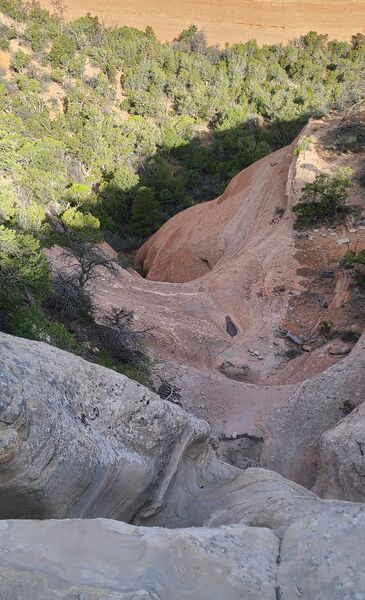 File:Pinyon Canyon (CNM) pic003.jpg