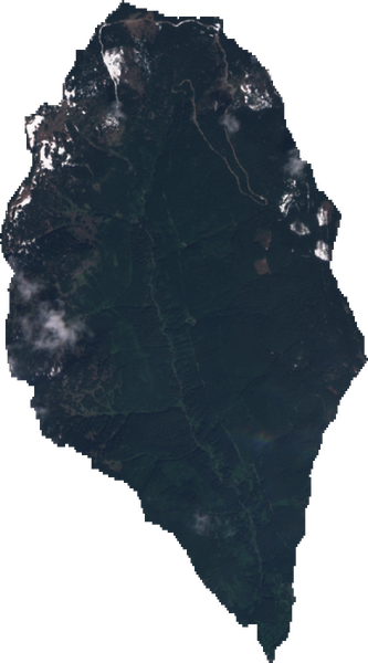File:Sentinel tc-1778278730 46.5373 -121.8123 0.1.png