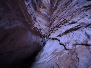 West Canyon Narrows one.jpg