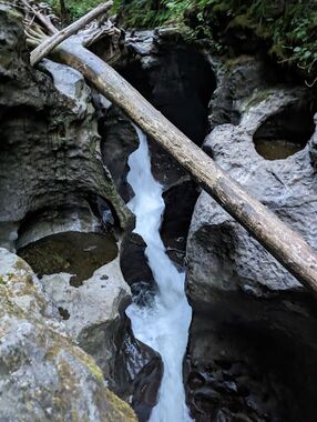 Young's Creek Falls Banner.jpg