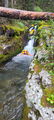 Thumbnail for version as of 03:26, 30 July 2024
