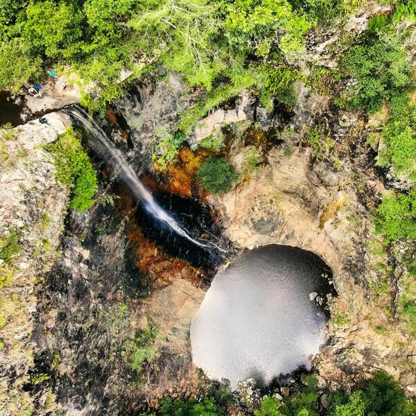 File:Butterfly Banner.jpg