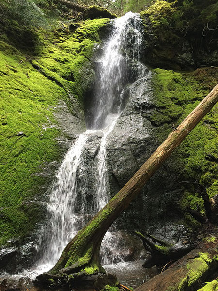 File:Dalles Creek-20150518054723 pic.jpg
