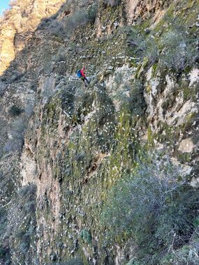 Eocene Canyon Banner.jpg