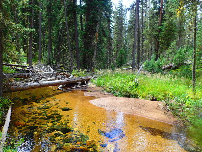 File:Grasshopper Creek Grasshopper Ira055.jpg