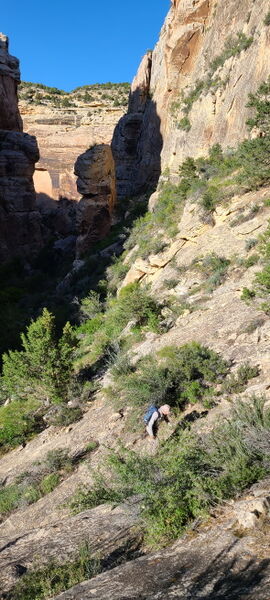 File:Pool Creek (Dinosaur) pic15.jpg