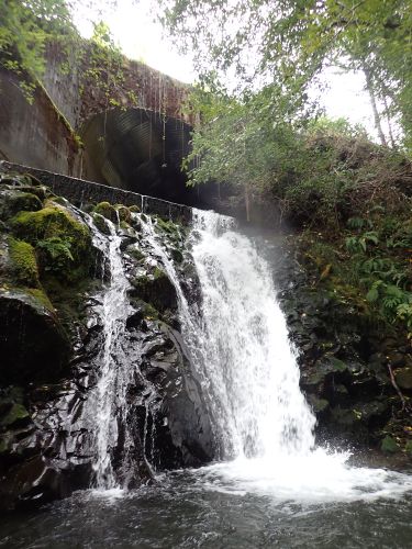 Rock Creek (Olympic Peninsula)-20200924200726 pic.jpg