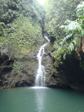 Excelsior Canyon (Punalau Stream) Banner.jpg
