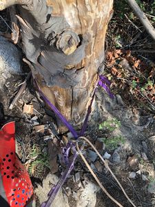 FILE-20181114045718.jpg