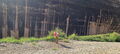 Thumbnail for version as of 03:29, 8 October 2024