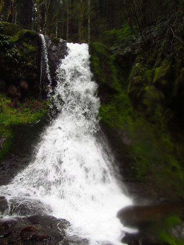 Rock Creek (Upper North Fork, South Cascades)-20170530223612 pic.jpg