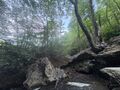 Thumbnail for version as of 07:26, 30 June 2026