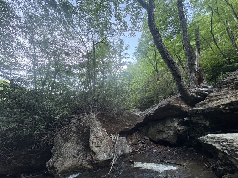 File:THEE UNRELENTING Creekwalk.jpg