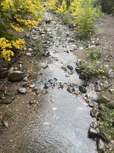 Thorp Creek-20251022022844 pic.jpg