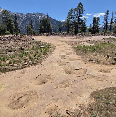 West Gold Hill Dinosaur Trackway Banner.jpg
