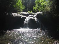 Dark Creek-20190806175838 pic.jpg