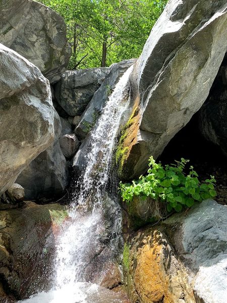 File:FILE-202106280g61231304.jpg