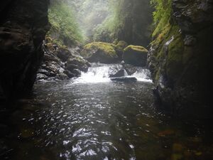 Looper Creek-20240823171112 pics.jpg
