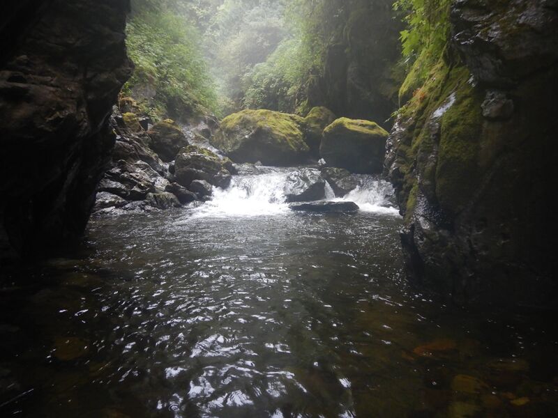 File:Looper Creek-20240823171112 pics.jpg
