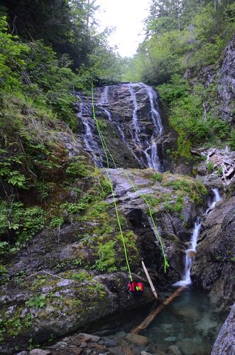 Stack Creek (East)-20170420032507 pic.jpg